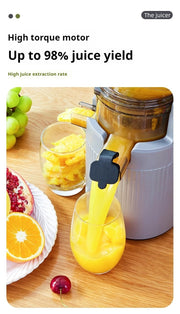 Electric Juicer Machine 4 color variations