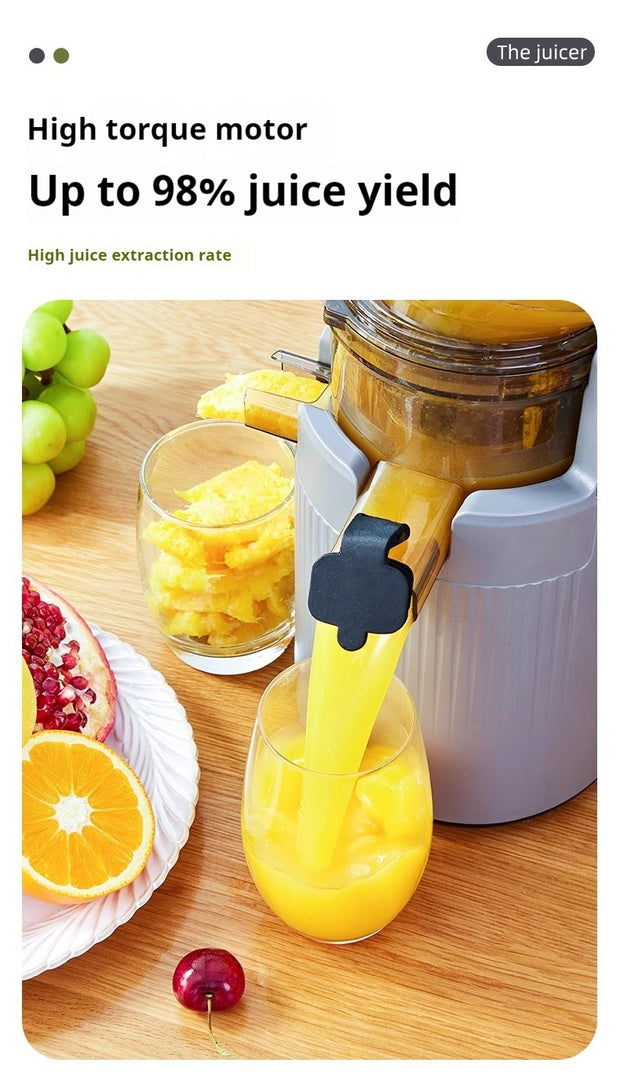 Electric Juicer Machine 4 color variations