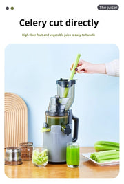 Electric Juicer Machine 4 color variations