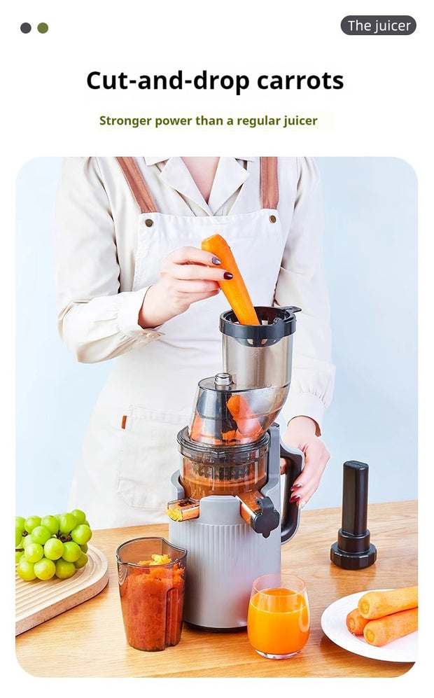 Electric Juicer Machine 4 color variations