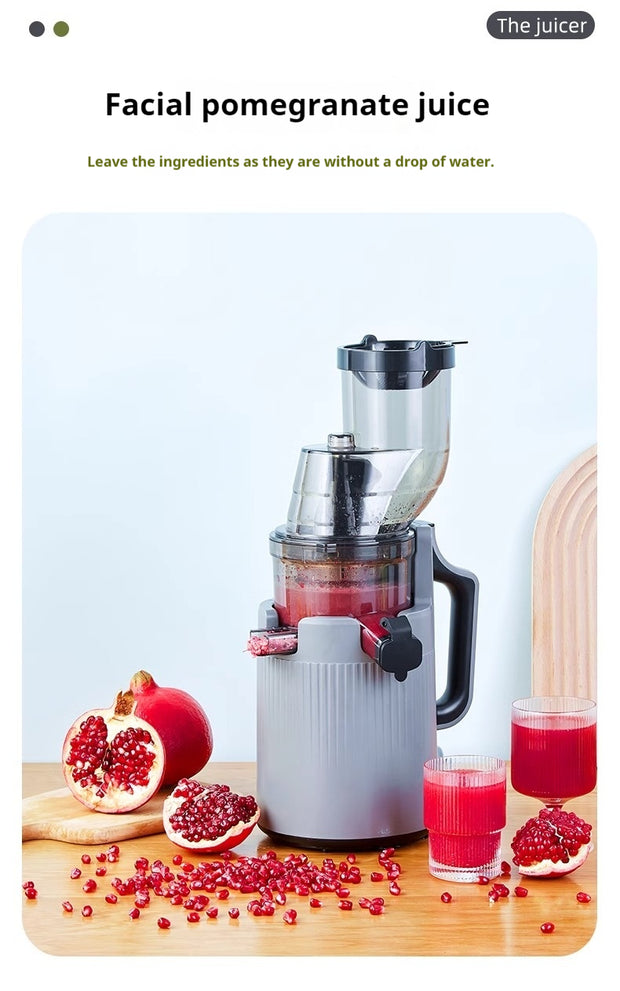 Electric Juicer Machine 4 color variations