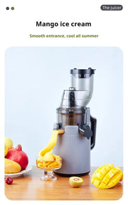 Electric Juicer Machine 4 color variations