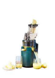 Electric Juicer Machine 4 color variations