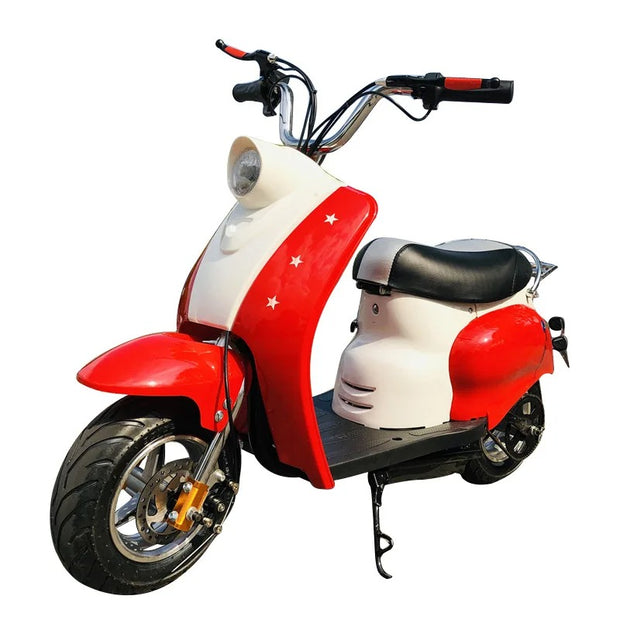 24V 350W Electric Scooter with Dual 12AH Batteries, Disc Brakes, and 25 km/h Max Speed